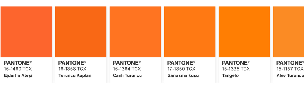 PANTONE - 橘色 - iPhone 17 Pro 宇宙橙