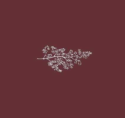 POST INSTA DOMAINE SOYER 4.jpg