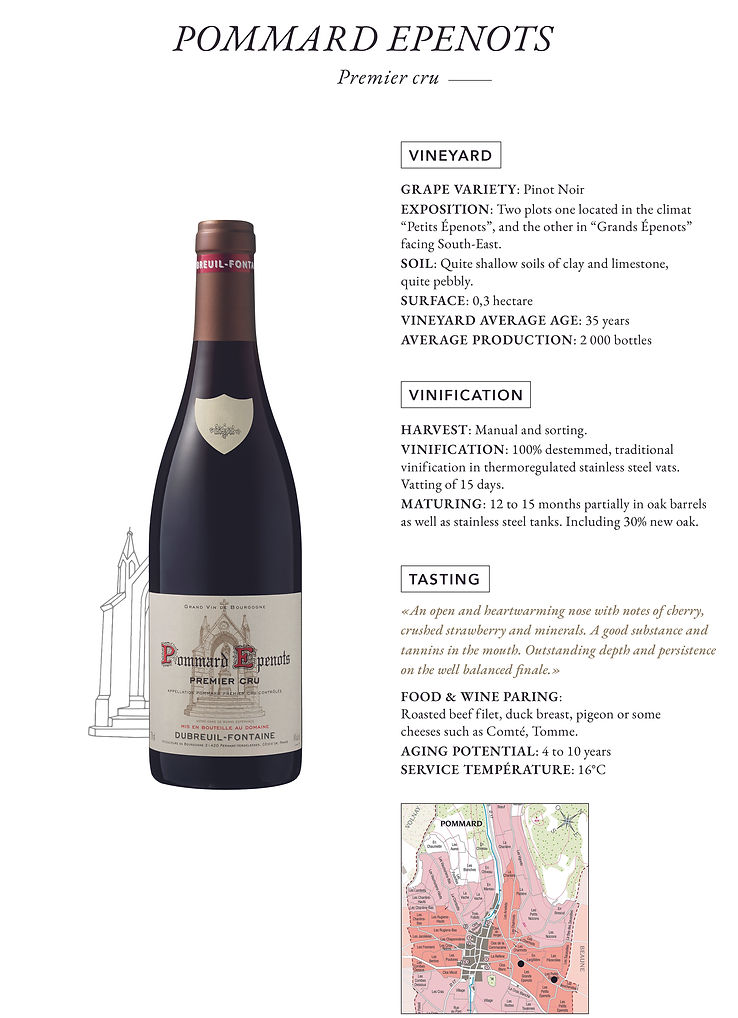 Pommard Epenots Premier Cru ANGLAIS.jpg
