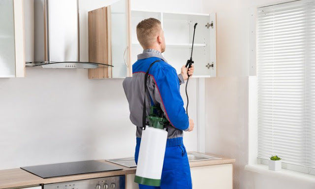 Pest control near me