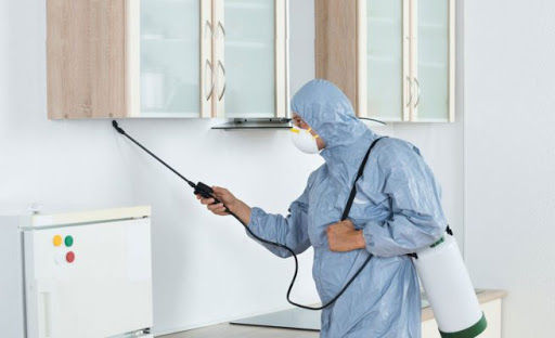 Pest control in dubai