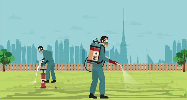 Best Pest Control in dubai