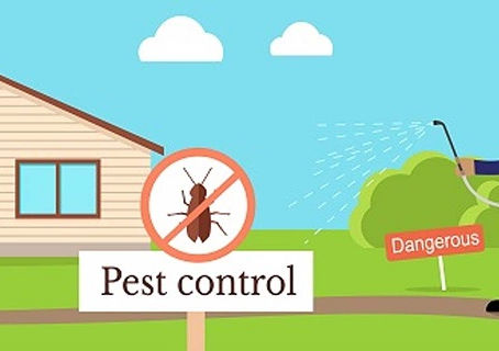 Cleanse Your Home of Pests and Insects With the Help of Professional Pest Control Services