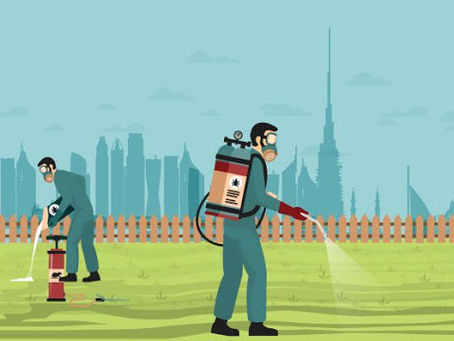 A Great Overview of Pest Problems and Pest Control Service Solutions