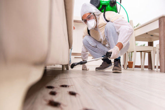 Cheap Pest Control dubai