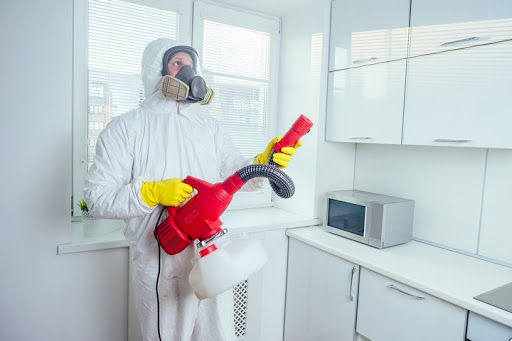 Cheap Pest Control dubai