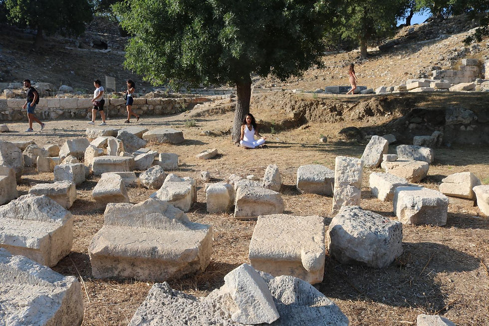 WhatsApp Image 2026-02-01 at 23.53.58