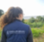 Candiles Brasil Consultoria Ambiental