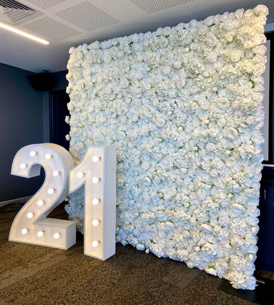 21 light up numbers with white flower wall birthday backdrop package