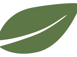 Audit Checklist for Product Discontinuation