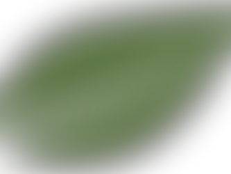 Audit Checklist for Product Discontinuation