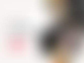 Traveling with kids and a dog