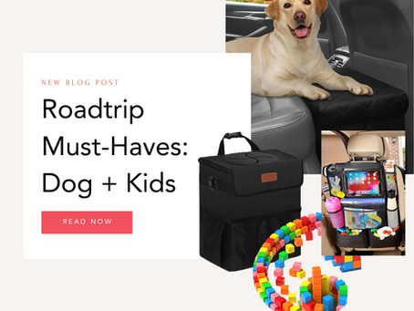 Traveling with kids and a dog