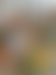 If you work full-time, manage a household, and are trying to stay consistent with your nutrition, protein is the most important thing in your grocery cart.