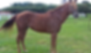 FOTOS SITE (19).webp