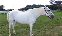 FOTOS SITE (5).webp