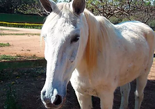 FOTOS SITE (15).webp