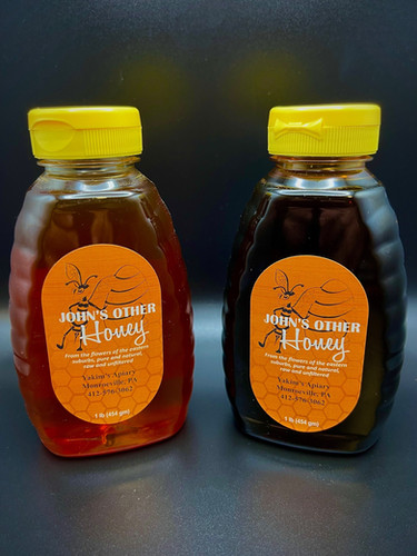 Honey (1 lb, Squeeze Bottle) | CCR Gardens