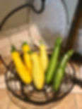 Zucchini / Yellow Squash Seedlings