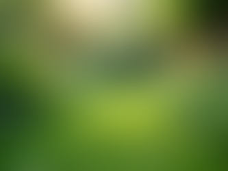 Ansiedade e Terapia Cognitivo-Comportamental