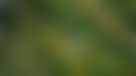 Unpacking How Gaslighting Works. (It's Them, Not You.)