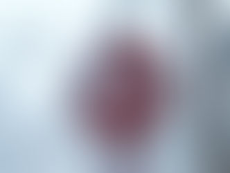 Montreal’s Methane Problem: From Snow Dumps to Landfills