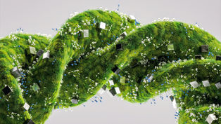 UM Researcher Advances Understanding of Microbiome-Linked Diseases