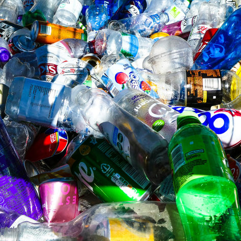 These Microbes Gobble Up Plastic Waste Pollution