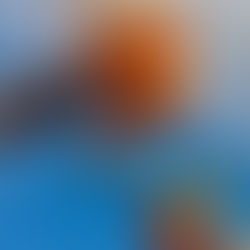 Table Scraps to Biofuel: A Microbe Flips Food Waste Into Power