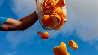 Table Scraps to Biofuel: A Microbe Flips Food Waste Into Power