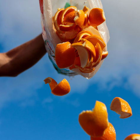 Table Scraps to Biofuel: A Microbe Flips Food Waste Into Power