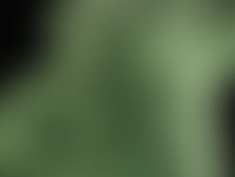 Even Bacterial Viruses Protect Their Offspring