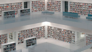 AI Hallucinations Still Pose Problems for Academics