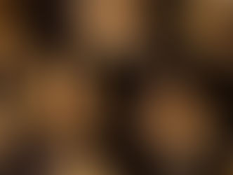 Turning Walnut Shells into Green Energy