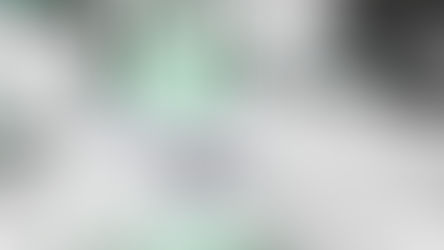 Organ Chip Predicts Cancer Therapy Response