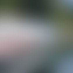 Optimist sailboats all rigged along the docks of whistler sailing. 