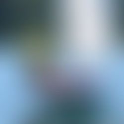 Boy in a yellow lifejacket sailing an Optimist dinghy on a calm lake.