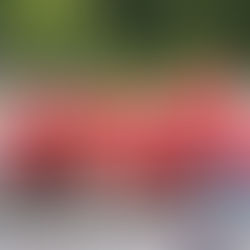 The 2025 sailing team takes a group shot on the docks of Whistler Sailing. They are all wearing their red WSA uniform shirts, and are having fun in the image. 