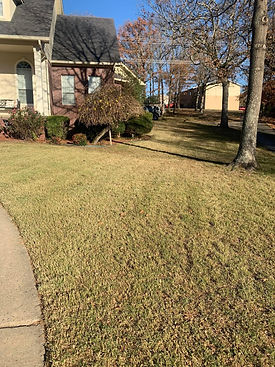 turners lane care fresh lawn mowe-min.JPG