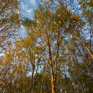 Deer Valley Acreages 6.jpg