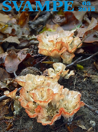 SVAMPE 65