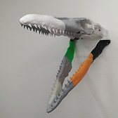 IMG-20210806-WA0017.jpg