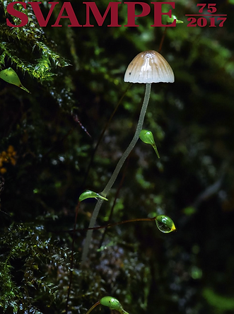 SVAMPE 75