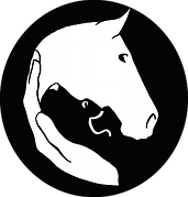 Chiropractic for Horses Dogs & Cats, Natural Balance Dentistry
