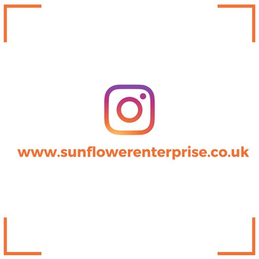 sunflower insta.jpeg