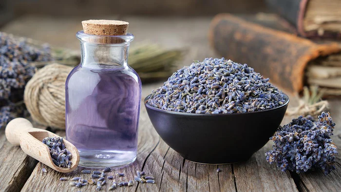 lavender_9204b583-59ac-466b-b655-26500ace4dd0.webp