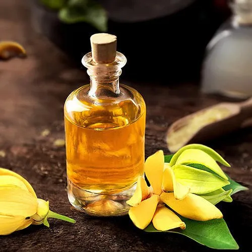 ylang-ylang-essential-oils-500x500.webp