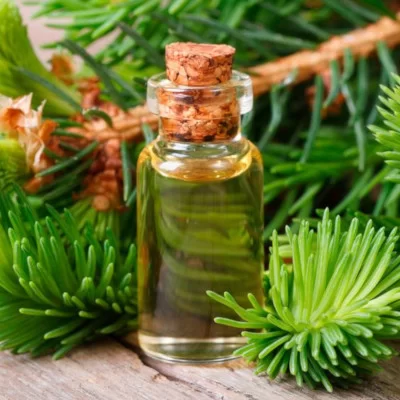 fir-needle-essential-oil.webp