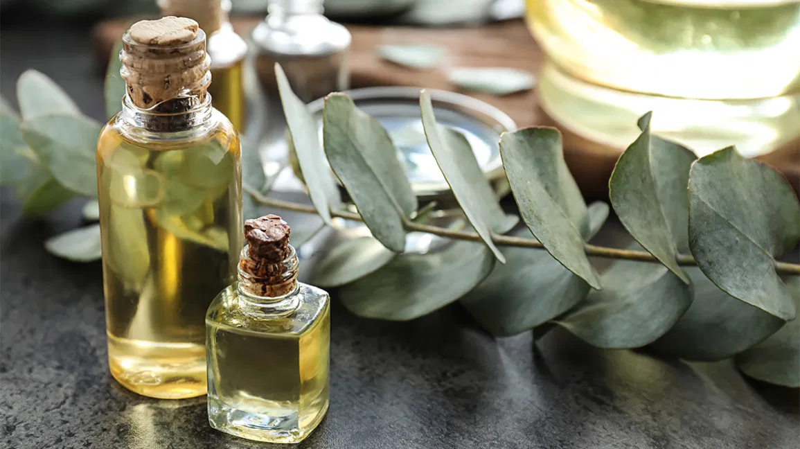 Eucalyptus_Oil_1296x728-header.webp