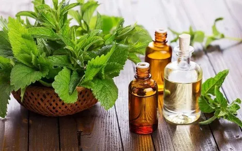 atbe-patchouli-essential-oil-500x500.webp